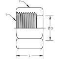 World Wide Fittings Flat Face O-Ring Nut -Trivalent Plated 4105X06T